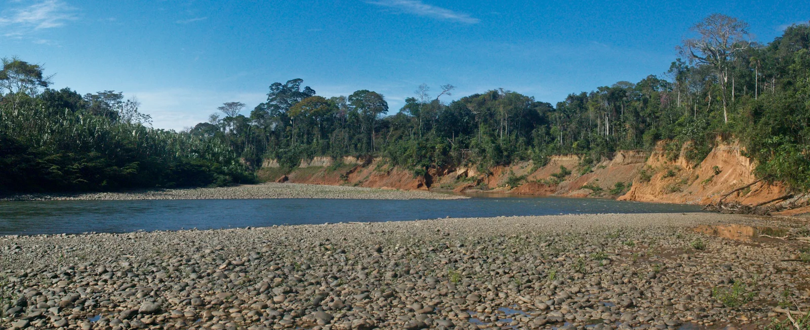 Panorama del río Madidi y bosque amazónico